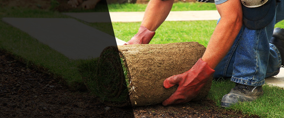 Port Arthur Landscapers